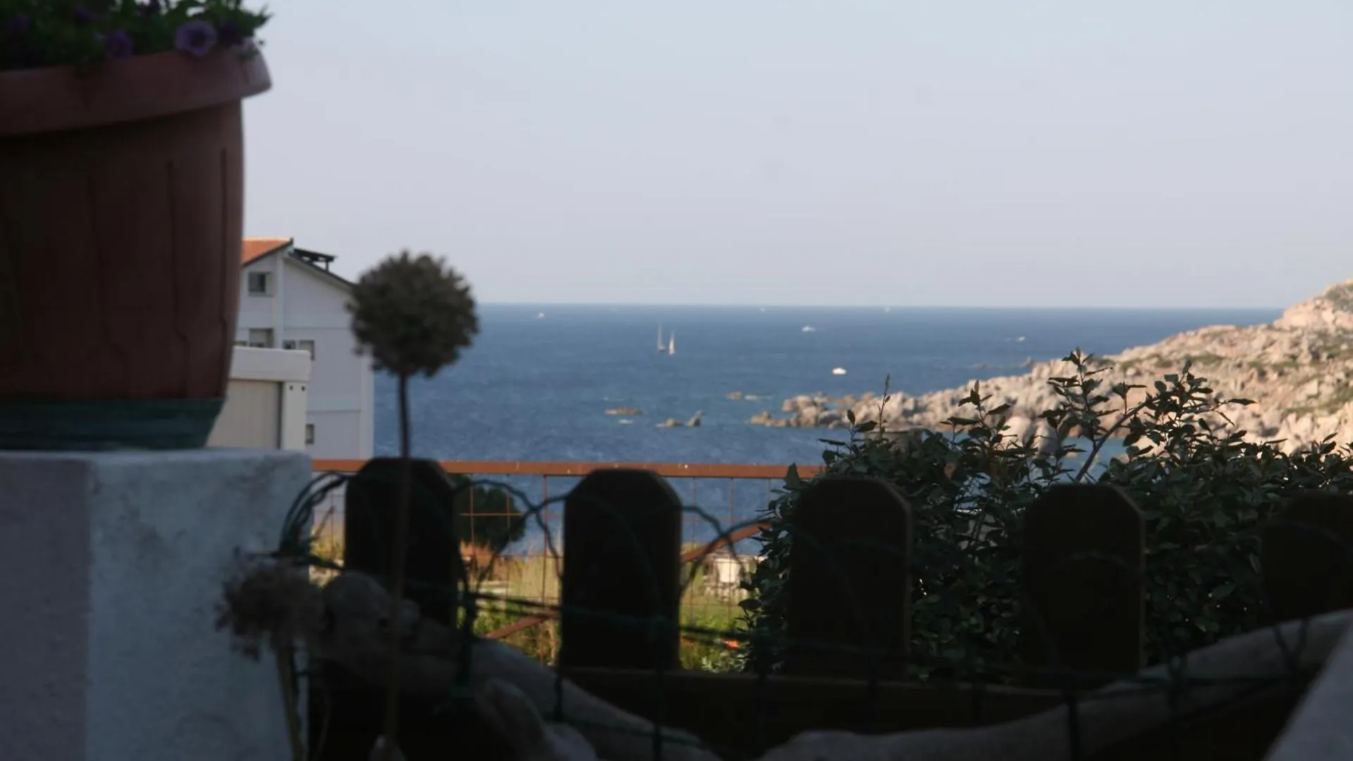 Casa Bouganville 산타테레사의갈루라